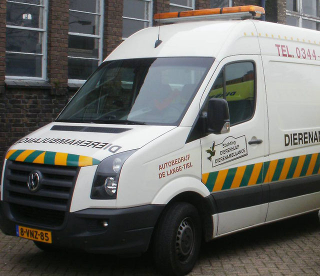 dierenhulp Dierenasiel Tiel Honden Katten