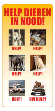 Dierenasiel Tiel Honden Katten Dierenasiel Tiel Honden Katten